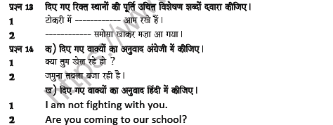 CBSE Class 7 Hindi Question Paper Set Z Solved